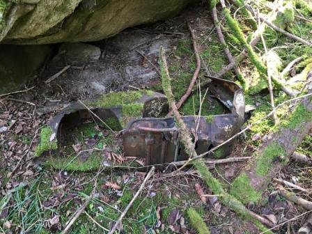 12373357_10208039311126797_6397208375460996747_n