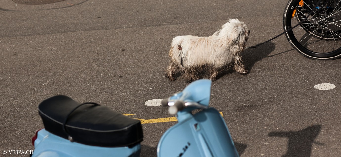 Vespa 50S - 1964 - VE8PA.CH - (17 von 69)