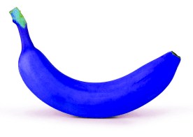 Vespa Primavera ET3, 1981, conservata, O-Lack - Original Lack, unrestauriert, Vespa Smallframe wie Vespa V50, Vespa SS50, Vespa SS90-1