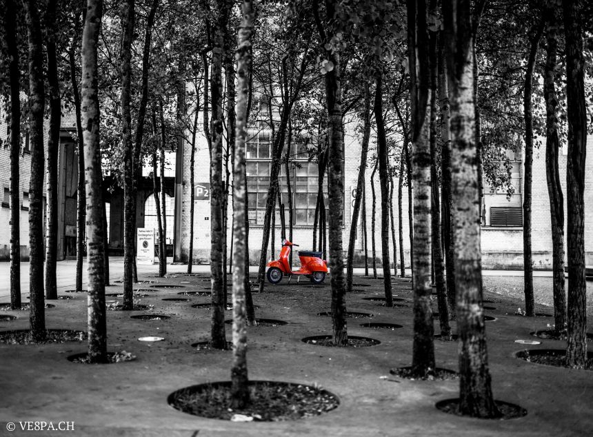 Vespa Primavera 1975, Orange, im O-Lack, Originallack, Vespa Smallframe wie Vespa 50SS, ET3, VE8PA.CH-1 4