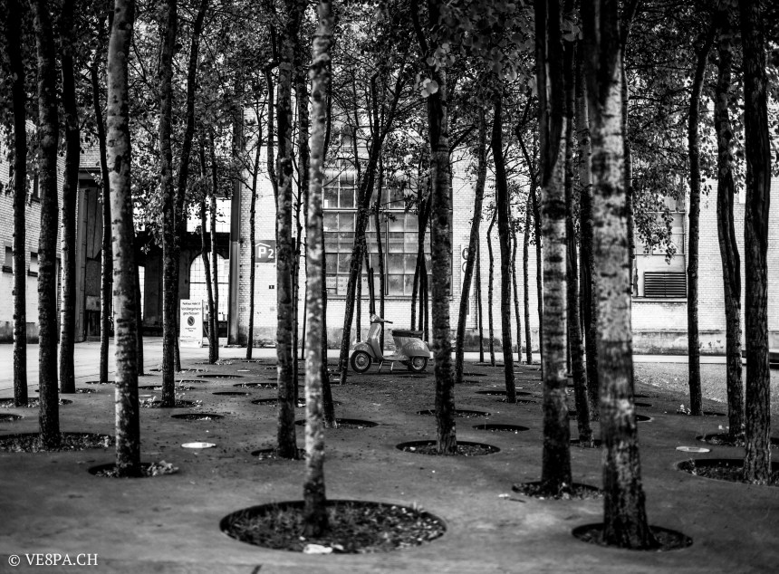 Vespa Primavera 1975, Orange, im O-Lack, Originallack, Vespa Smallframe wie Vespa 50SS, ET3, VE8PA.CH-1 444